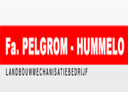 Pelgrom
