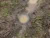 resized_img_3740